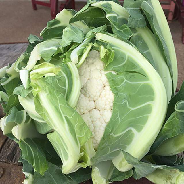 Quality Natural Food Is Key To Healthy Eating - Nutrition Ibiza